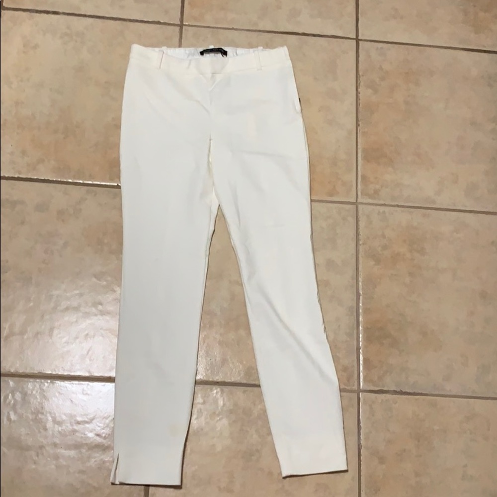 Pant